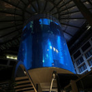 2022-12-16T121101Z_1314974929_RC207Y9D8VOH_RTRMADP_3_GERMANY-ACCIDENT-AQUARIUM _1_.JPG