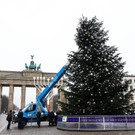 2022-12-21T092805Z_1695008218_RC28AY98UHPK_RTRMADP_3_CLIMATE-CHANGE-GERMANY-PROTESTS _1_.JPG
