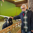 Krippe4.jpg