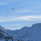 MicrosoftTeams-image _32_.png