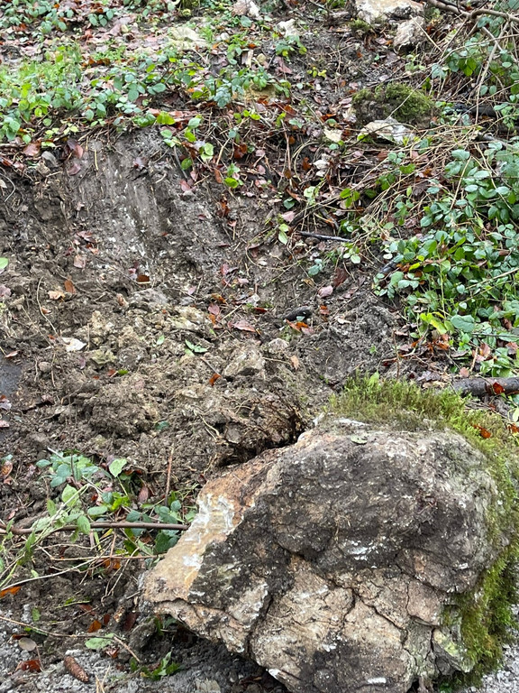 Felssturz am Schwefelberg _4_ _Gro___.jpg