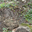 Felssturz am Schwefelberg _4_ _Gro___.jpg