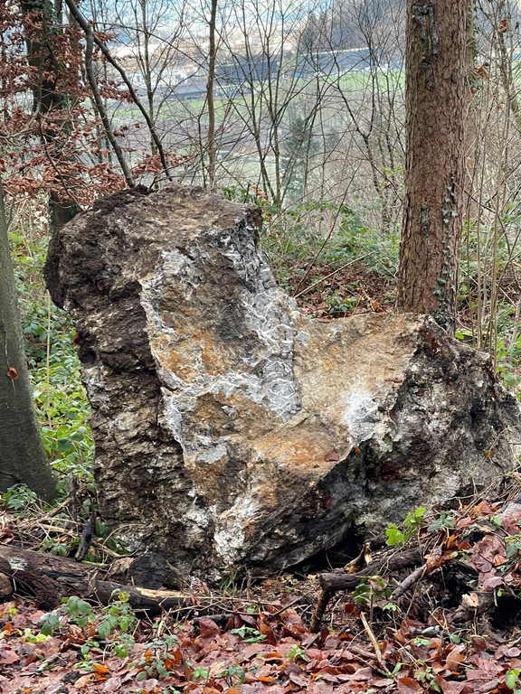 Felssturz am Schwefelberg _5_ _Gro___.jpg