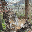 Felssturz am Schwefelberg _5_ _Gro___.jpg