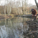 Hundezone Hund und Herrchen 1n.jpg