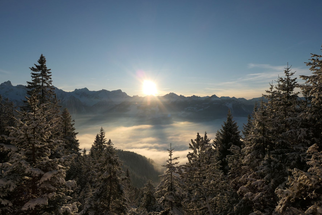 2022_12_17_Wintersonnwend.JPG