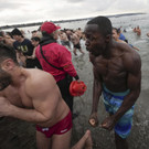 Canada_Polar_Bear_Swim_31994.jpg
