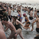 Canada_Polar_Bear_Swim_36146.jpg