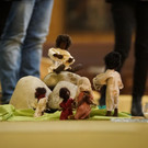 2022_10_08_Kinderkirche_c_R_Sonderegger_38.JPG