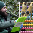 Britain_Zoo_Stocktake_09332.jpg