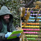 Britain_Zoo_Stocktake_62043.jpg
