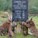Britain_Zoo_Stocktake_79774.jpg