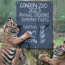 Britain_Zoo_Stocktake_04270.jpg