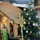 Sternsinger _29_.JPG