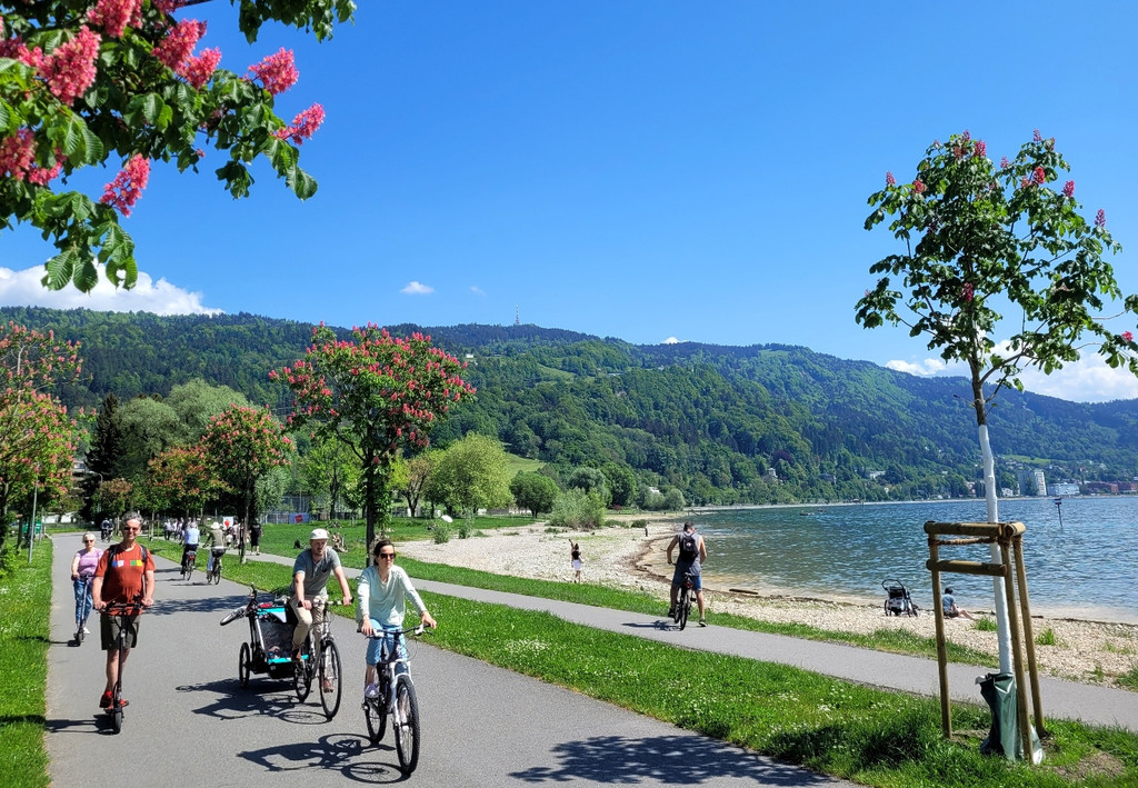 Pipeline Rad- und Fu__weg Bregenz-Lochau NEU Mai 2022 _6_.jpg