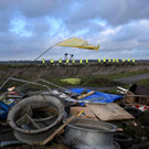 AFP_336V269.jpg