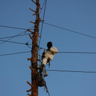 ABD0021-20230113.jpg