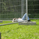 1080704.jpg