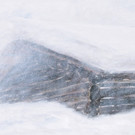 Schnee 3n.jpg