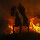 APTOPIX_Spain_Saint_Anthony_Bonfire_Festival_89315.jpg