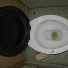 1080767.jpg