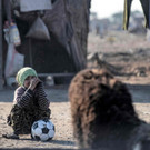 AFP_334V26X.jpg