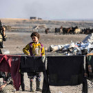 AFP_334V26Z.jpg