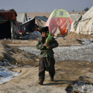 AFP_337993N.jpg