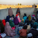 AFP_336D22V.jpg