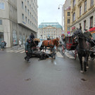 Fiaker-Unfall in Wien