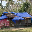 DSC_0034.JPG