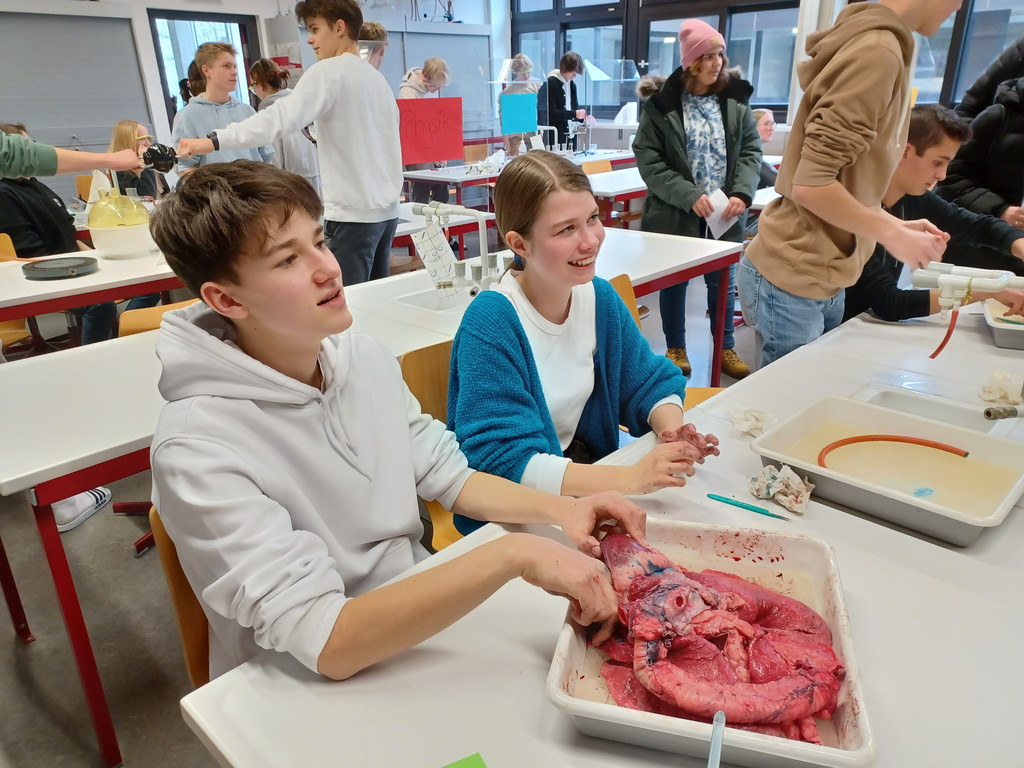 Noah_Purin_Emma_Kohler _7bn__Biologie.jpg