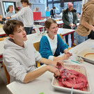 Noah_Purin_Emma_Kohler _7bn__Biologie.jpg