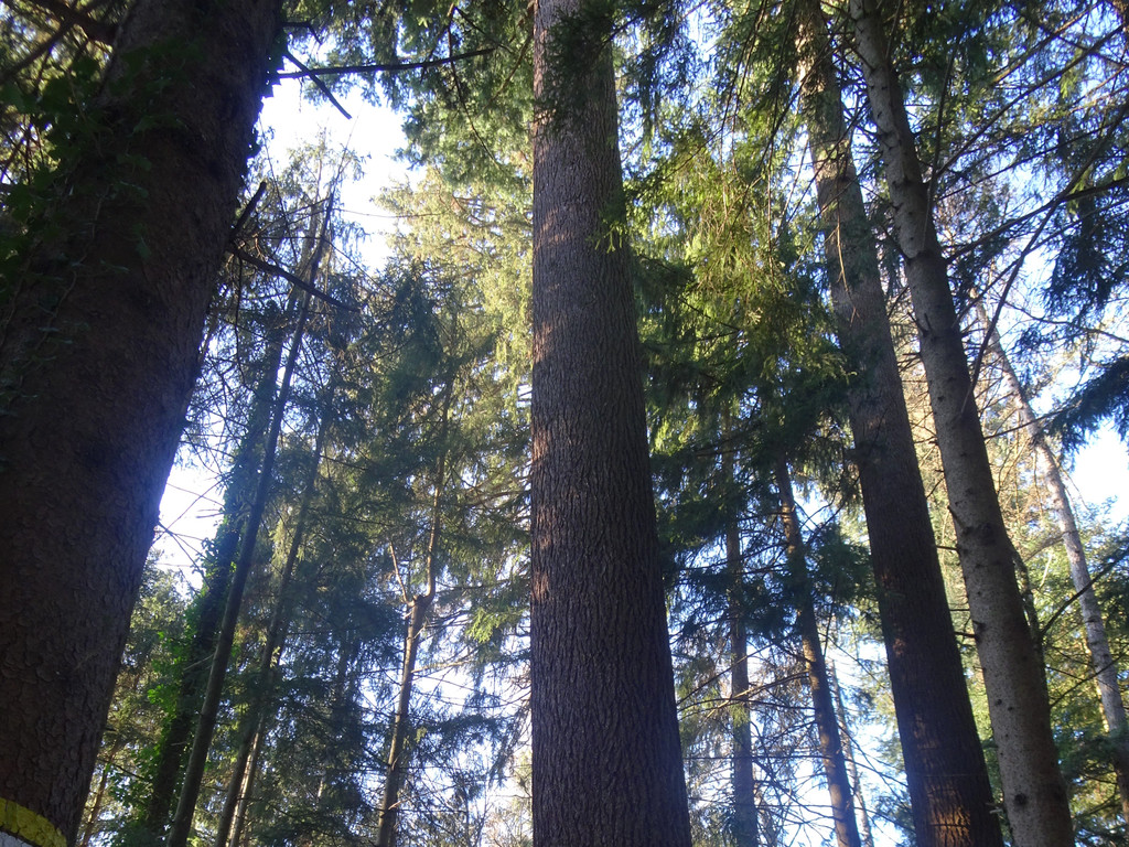 DSC00663 _2_.JPG