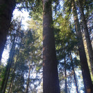 DSC00663 _2_.JPG