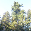 DSC00665 _2_.JPG