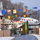 DSC_0863.JPG