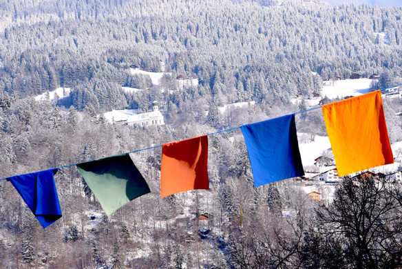 DSC_0794 5.JPG