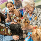 2023-01-29T222404Z_1766108900_RC2I0Z9R4S5J_RTRMADP_3_USA-DOGSHOW.JPG