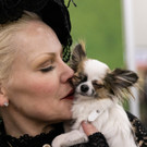 2023-01-29T222015Z_57137551_RC2H0Z9RG6EM_RTRMADP_3_USA-DOGSHOW.JPG