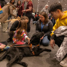 2023-01-29T221603Z_1205042235_RC2G0Z98UGZ4_RTRMADP_3_USA-DOGSHOW.JPG
