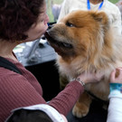 AFP_33832B3.jpg