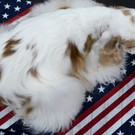AFP_33829Z2.jpg
