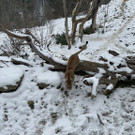 Gro__ _IMG_3999_.jpg
