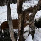 Gro__ _IMG_3985_.jpg