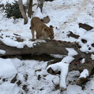 Gro__ _IMG_3991_.jpg