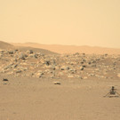 AFP_9M97JB.jpg