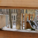 csm_YEWO_Wieningerplatz_Bild8_230129_dd7349efce.jpg