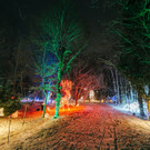 LUMAGICA Wien_1_.jpg
