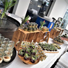 DSC08093 _2_.JPG